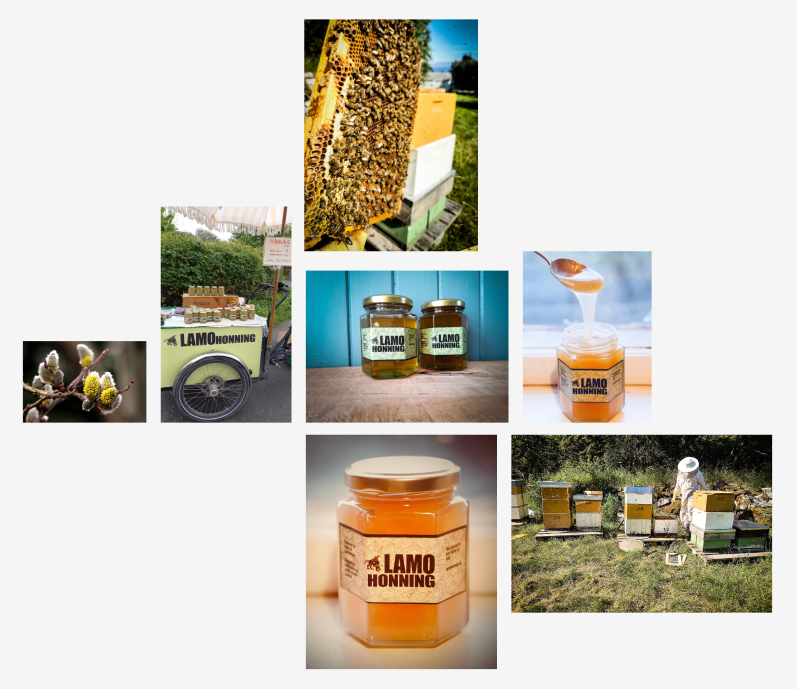 LamoHonning project page mockup